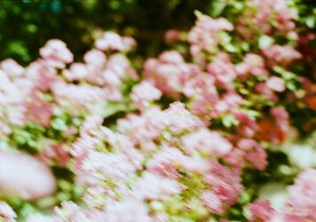 Comment optimiser son parcours de formation VTC grâce aux outils numériques