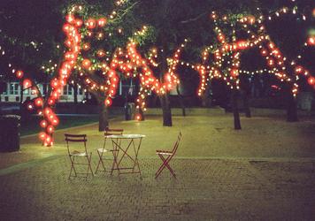 Les comp&eacute;tences cl&eacute;s pour r&eacute;ussir en tant que chauffeur VTC en 2024